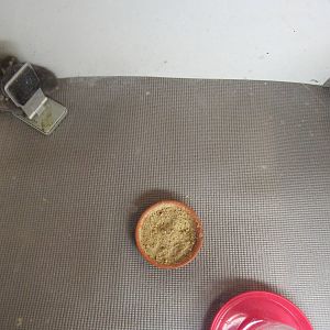 Sylvan Heights Bird Park- Entrance Building- Hatch-of-the-Day Exhibit