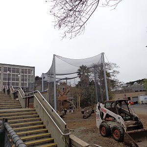 Construction Update: Sifaka #1