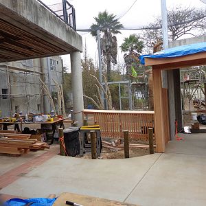 Construction Update: Sifaka #2