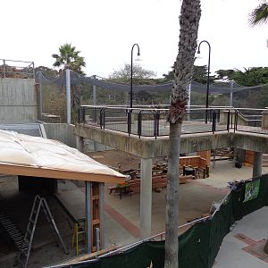 Construction Update: Sifaka #3