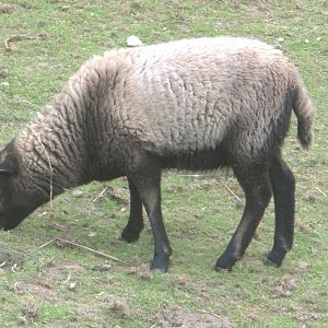 Newly named Coco, 31st July 2016