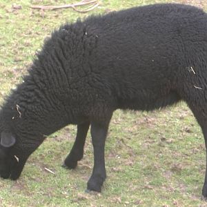 Newly named Larry, 31st July 2016