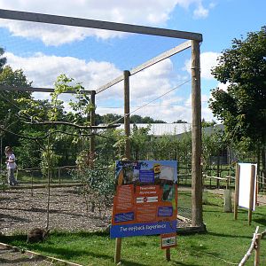 View of Part of the 'Outback Experience' - 6 August 2016, Kirkley Hall Zool