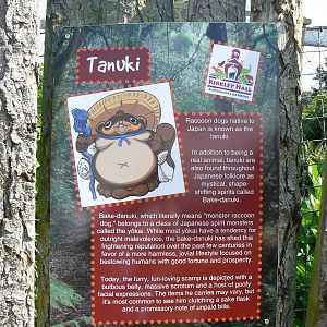 Example of Signage for Raccoon Dogs - 6 August 2016, Kirkley Hall Zoologica