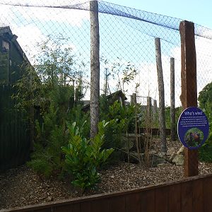 View of the Temminck's Tragopan Aviary - 6 August 2016, Kirkley Hall Zoolog