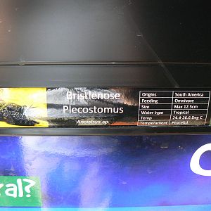 Example of Signage in the Aquatics Room - 6 August 2016, Kirkley Hall Zoolo