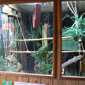 View of Indoor Callitrichid and Agouti Enclosure - 6 August 2016, Kirkley H