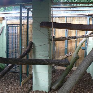View of Most of the European Genet Enclosure - 6 August 2016, Kirkley Hall