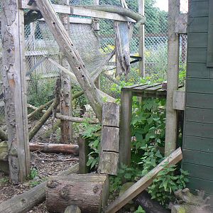 View of Asian Palm Civet Enclosure - 6 August 2016, Kirkley Hall Zoological