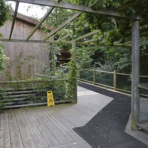 Entrance Walkway 050816