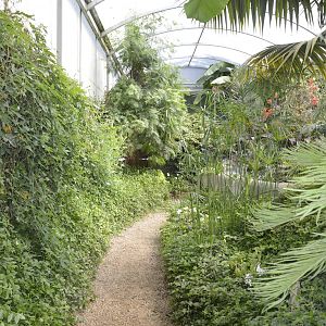 Tropical House 050816