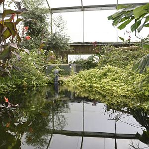 Tropical House 050816