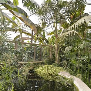 Tropical House 050816