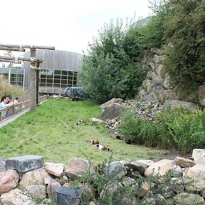SERENGA - Guinea pig enclosure