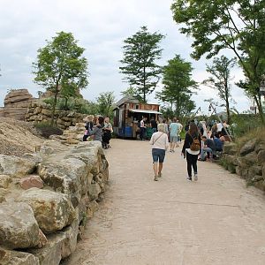 SERENGA - way along the Asian plain