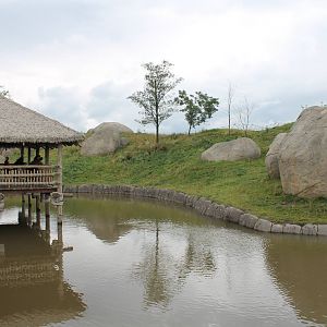 SERENGA - Viewing-point Lions