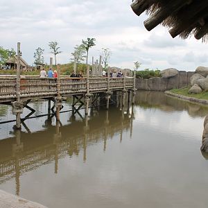 SERENGA - Way along the Lion enclosure