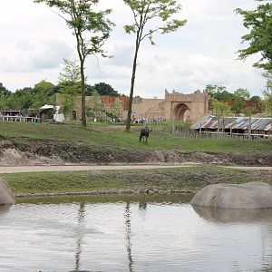 SERENGA - African plain