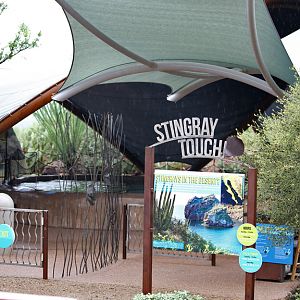 rainy day at the zoo