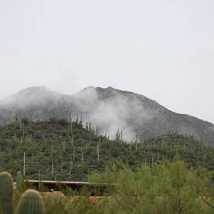 rainy day at the zoo