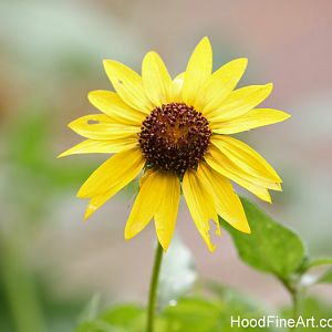 rainy day at the zoo