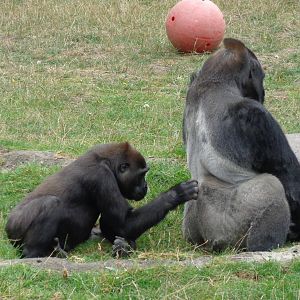 Hasani and Oscar-Jonesy