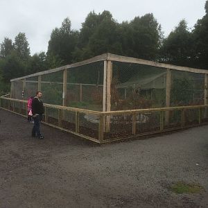 Refurbished European crane aviary