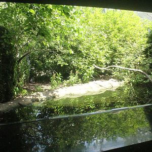 Aug. 2016 - Wilderness Trek - Pheasant + Magpie + Fish Exhibit (12 Species)