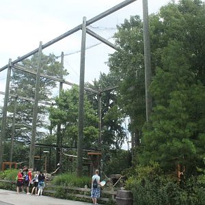 Aug. 2016 - Birds of Prey