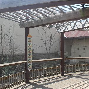 Aug. 2016 - African Elephant Crossing - Aviary (9 Species)