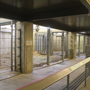 Aug. 2016 - African Elephant Crossing - Indoor Quarters