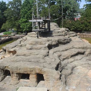 Aug. 2016 - African Savannah - Colobus + Klipspringer Exhibit