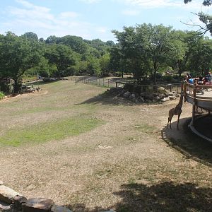 Aug. 2016 - African Savannah - Third Savanna Exhibit (4 Species)