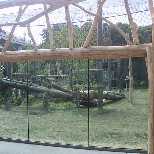 Aug. 2016 - Wilderness Trek - Tiger Passage - Meadow Habitat