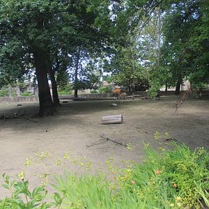 Aug. 2016 - Wilderness Trek - Persian Onager Exhibit