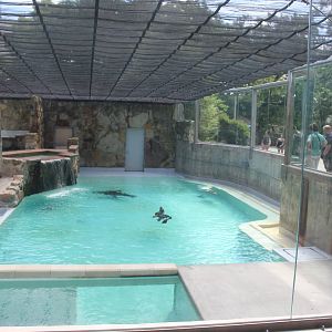 Aug. 2016 - Wilderness Trek - Sea Lion + Harbor Seal Exhibit