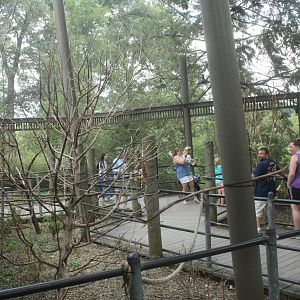 Aug. 2016 - Australian Adventure - Lorikeet Lane