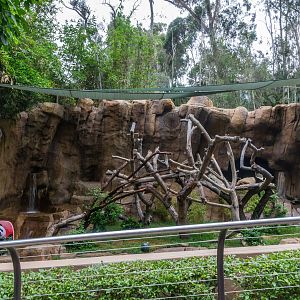 Temporary panda exhibit