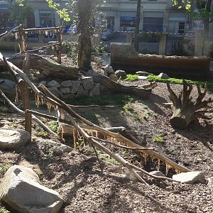 Coati enclosure - Zoo Karlsruhe