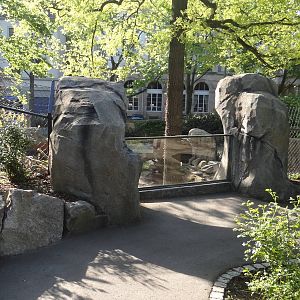 Coati enclosure - Zoo Karlsruhe