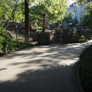 Coati enclosure - Zoo Karlsruhe