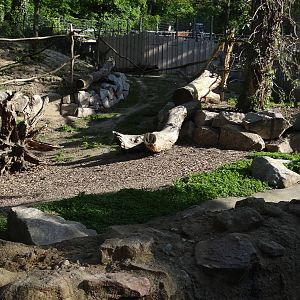 Coati enclosure - Zoo Karlsruhe
