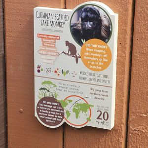 Updated Saki Signage at Colchester, 13/08/16