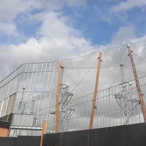 Chimpanzee Lookout (Outdoor Enclosure Construction) at Colchester, 13/08/16