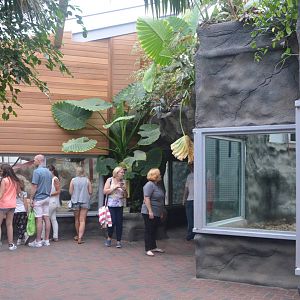 Chimpanzee Lookout (Chimp Indoor Enclosures) at Colchester, 13/08/16