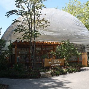 Butterfly Garden (New in 2016)