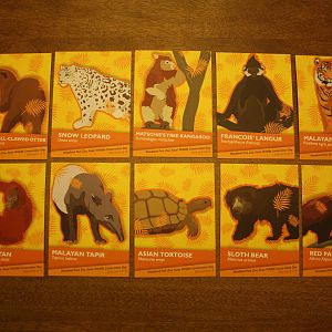 Asian Wildlife Conservation Day Animal Cards (one day event featuring a spe