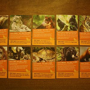 Asian Wildlife Conservation Day Animal Cards (one day event featuring a spe