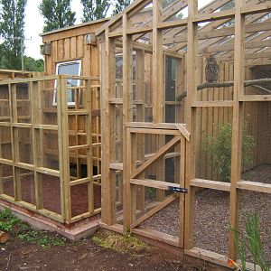 Yet another new aviary going up