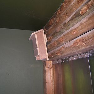 Bat Rescue Box in the Bat cave